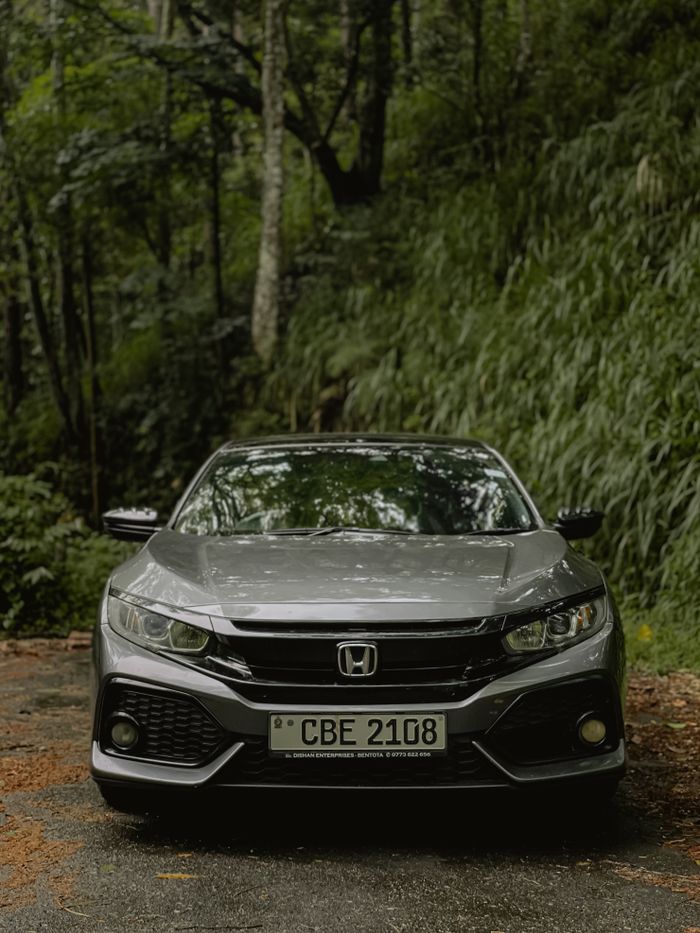 The Art of Drawing Readers In: Your attractive post title goes here A sleek gray Honda Civic parked amid lush greenery in a serene forest setting.